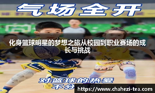 化身篮球明星的梦想之旅从校园到职业赛场的成长与挑战